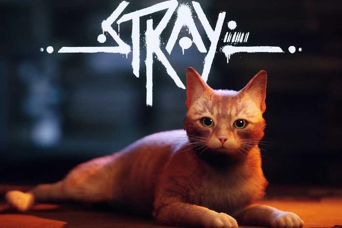 Stray-collectables-guide Key art for Stray.